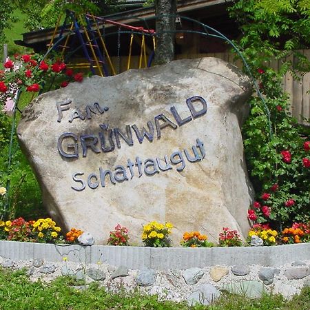 Schattaugut Eben Im Pongau Exterior foto