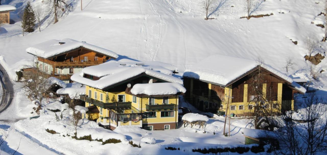 Schattaugut Eben Im Pongau Exterior foto